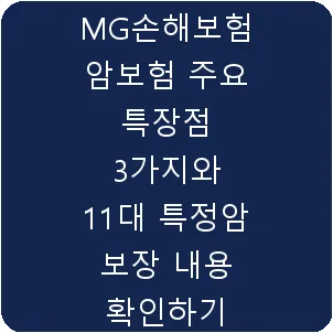 MG손해보험 암보험 주요 특장점 3가지와 11대 특정암 보장 내용 확인하기