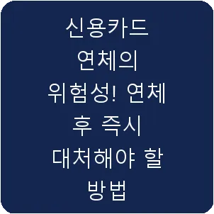 신용카드 연체의 위험성! 연체 후 즉시 대처해야 할 방법