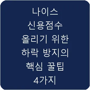 나이스 신용점수 올리기 위한 하락 방지의 핵심 꿀팁 4가지