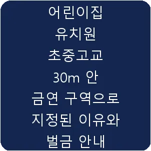 어린이집 유치원 초중고교 30m 안 금연 구역으로 지정된 이유와 벌금 안내