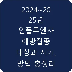 2024~2025년 인플루엔자 예방접종 대상과 시기, 방법 총정리