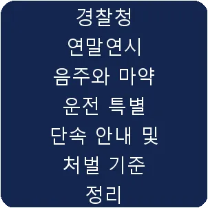 경찰청 연말연시 음주와 마약 운전 특별 단속 안내 및 처벌 기준 정리