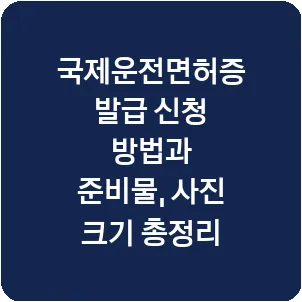 국제운전면허증 발급 신청 방법과 준비물, 사진 크기 총정리