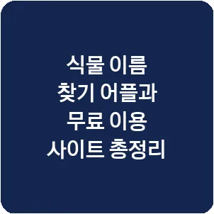 식물 이름 찾기 어플과 무료 이용 사이트 총정리