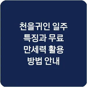 천을귀인 일주 특징과 무료 만세력 활용 방법 안내