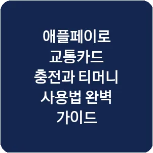 애플페이로 교통카드 충전과 티머니 사용법 완벽 가이드