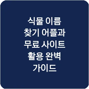 식물 이름 찾기 어플과 무료 사이트 활용 완벽 가이드