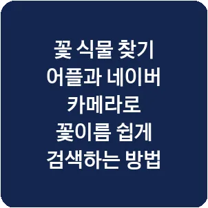 꽃 식물 찾기 어플과 네이버 카메라로 꽃이름 쉽게 검색하는 방법