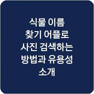 식물 이름 찾기 어플로 사진 검색하는 방법과 유용성 소개