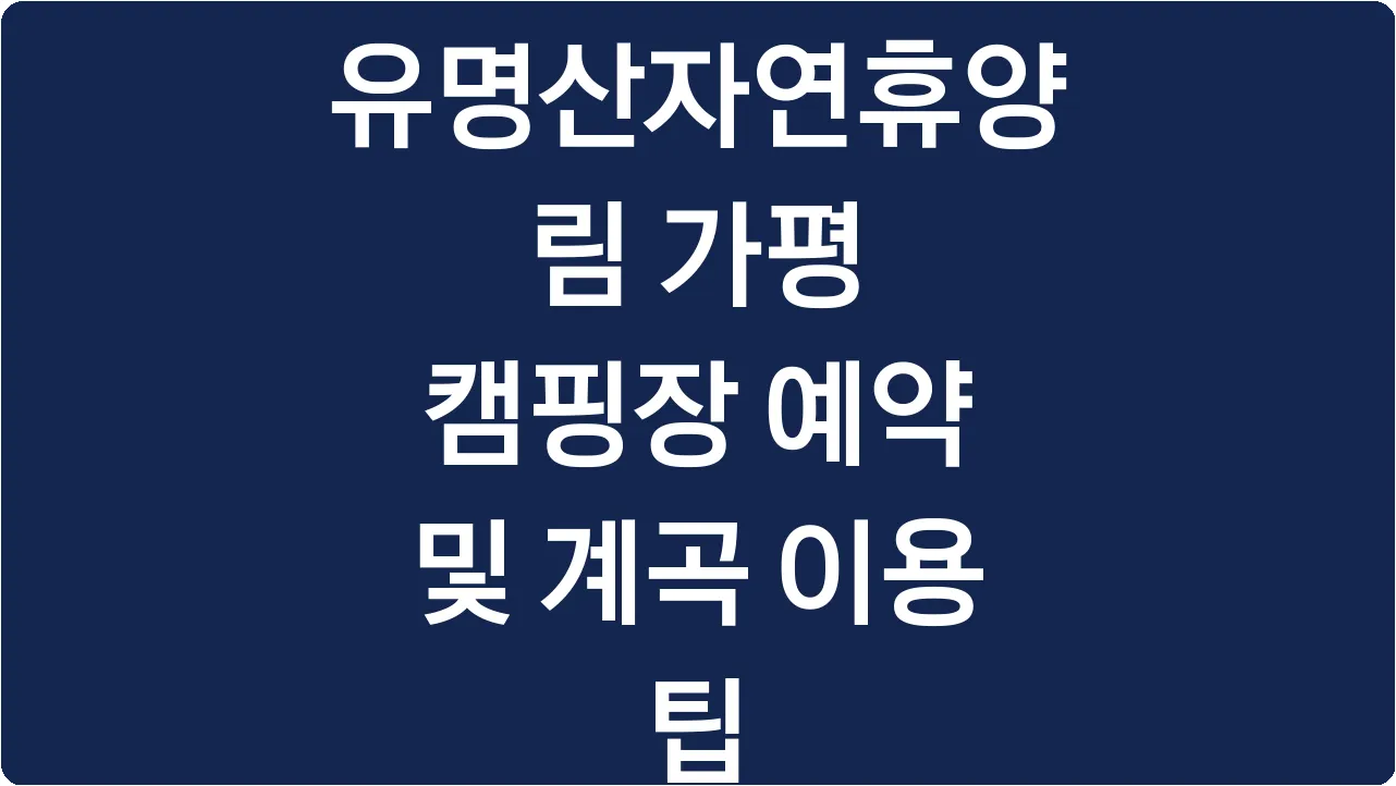 유명산자연휴양림 가평 캠핑장 예약 및 계곡 이용 팁