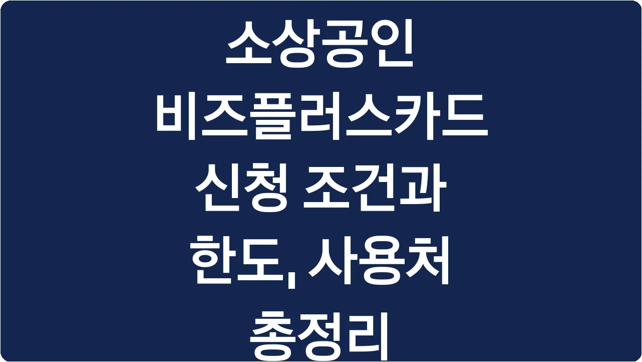 소상공인 비즈플러스카드 신청 조건과 한도, 사용처 총정리
